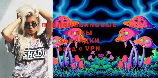 индика Михайлов