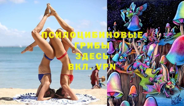 индика Михайлов
